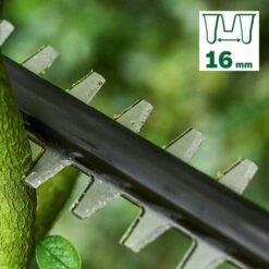 Bosch Tronçonneuse Sans Fil UniversalChain 18 - 1 Batterie 18V 2,5Ah 10 Bosch Tronçonneuse Sans Fil UniversalChain 18 - 1 Batterie 18V 2,5Ah -Tronçonneuse et accessoire Soldes 2022 10860976 4