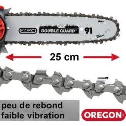 GRIZZLYTOOLS Tronçonneuse Sans Fil Grizzly Tools AKS 2040 Lion Avec Batterie 20 V - 4,0 Ah / Chargeur, Longueur De Coupe 25 Cm -Tronçonneuse et accessoire Soldes 2022 23413421 4