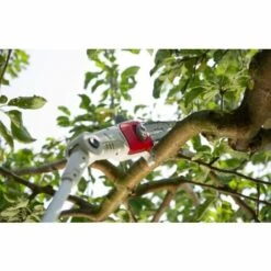 IKRA Elagueuse Tronçonneuse Sur Perche Téléscopique à Batterie 20 Volts ICPS2020 -Tronçonneuse et accessoire Soldes 2022 29428267 4