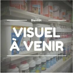 G�N�RIQUE Roulement à Aiguilles Pour Notre Pignon De Tronçonneuse 170-8304 Pour Machines TAS-TANAKA ECV3801 Et ECV4501