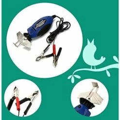 Cisea Affûteuse De Tronçonneuse électrique, 12V Mini Meuleuse De Chaîne Machine De Poche Extérieure Pour Scie à Chaîne, Meuleuse De Coupe, Accessoires De Travail Du Bois 11 Cisea Affûteuse De Tronçonneuse électrique, 12V Mini Meuleuse De Chaîne Machine De Poche Extérieure Pour Scie à Chaîne, Meuleuse De Coupe, Accessoires De Travail Du Bois -Tronçonneuse et accessoire Soldes 2022 58082481 5