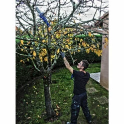 HYUNDAI Elagueuse Sur Perche Sans Fil 20 V 20 Cm 2050 - 2800 Mm HELP20VB2A 10 HYUNDAI Elagueuse Sur Perche Sans Fil 20 V 20 Cm 2050 - 2800 Mm HELP20VB2A -Tronçonneuse et accessoire Soldes 2022 60073108 4