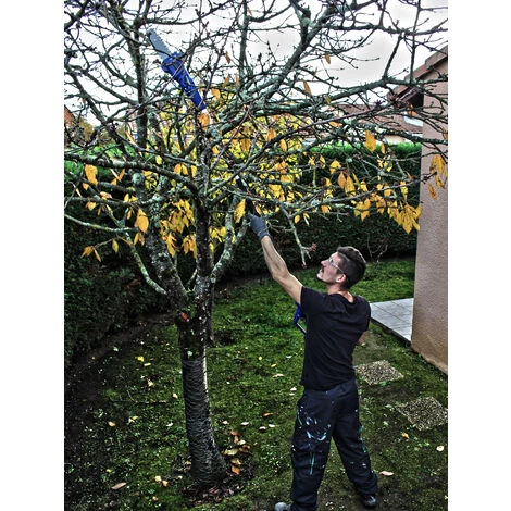 HYUNDAI Elagueuse Sur Perche Sans Fil 20 V 20 Cm 2050 - 2800 Mm HELP20VB2A 6 HYUNDAI Elagueuse Sur Perche Sans Fil 20 V 20 Cm 2050 - 2800 Mm HELP20VB2A – Image 4