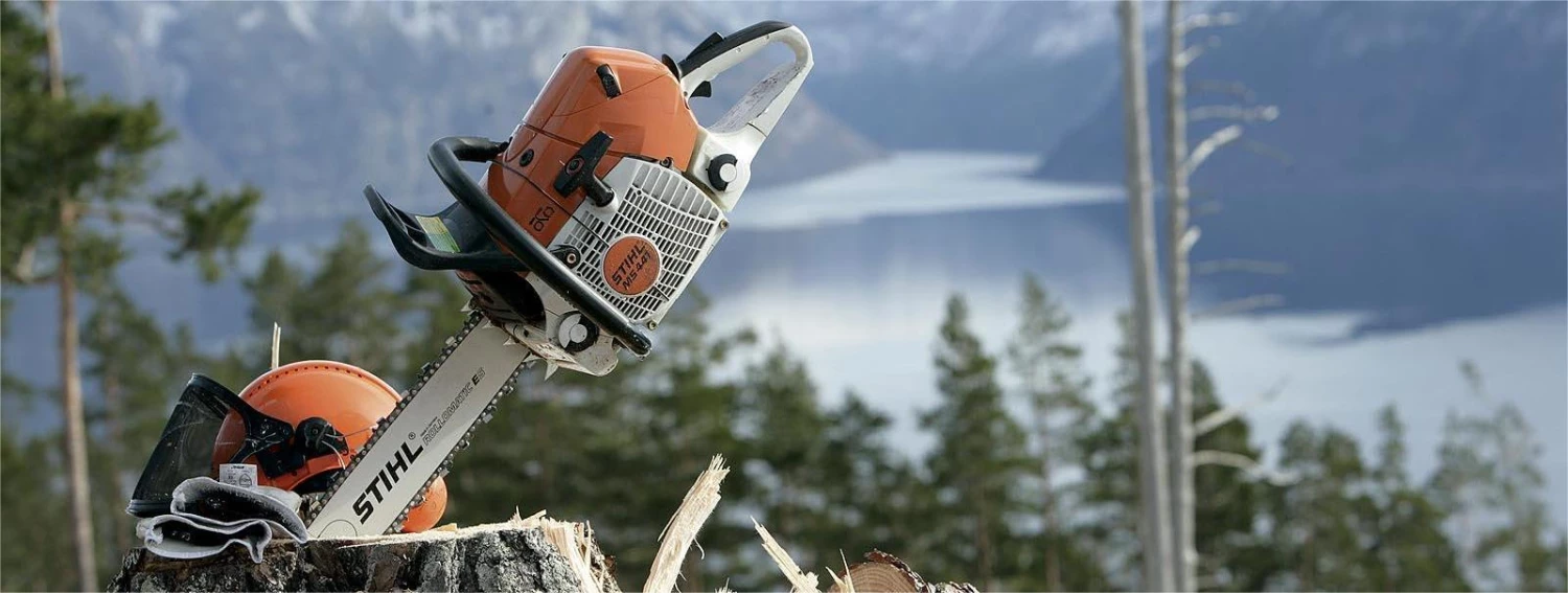 Tronçonneuse et accessoire Soldes 2022 -Tronçonneuse et accessoire Soldes 2022 646556