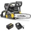 Tronçonneuse Sans Fil à Batterie, 40 V, Guide 12 Pouces, GT ELEC + Batterie 4 Ah + Chargeur